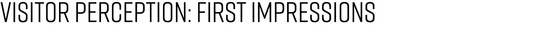 visitor perception: first impressions