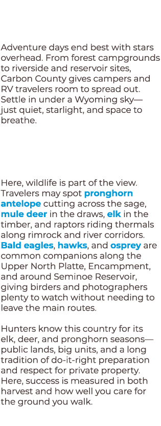 Adventure days end best with stars overhead. From forest campgrounds to riverside and reservoir sites, Carbon County ...