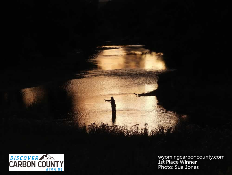 2025-photo-contest-sue-jones